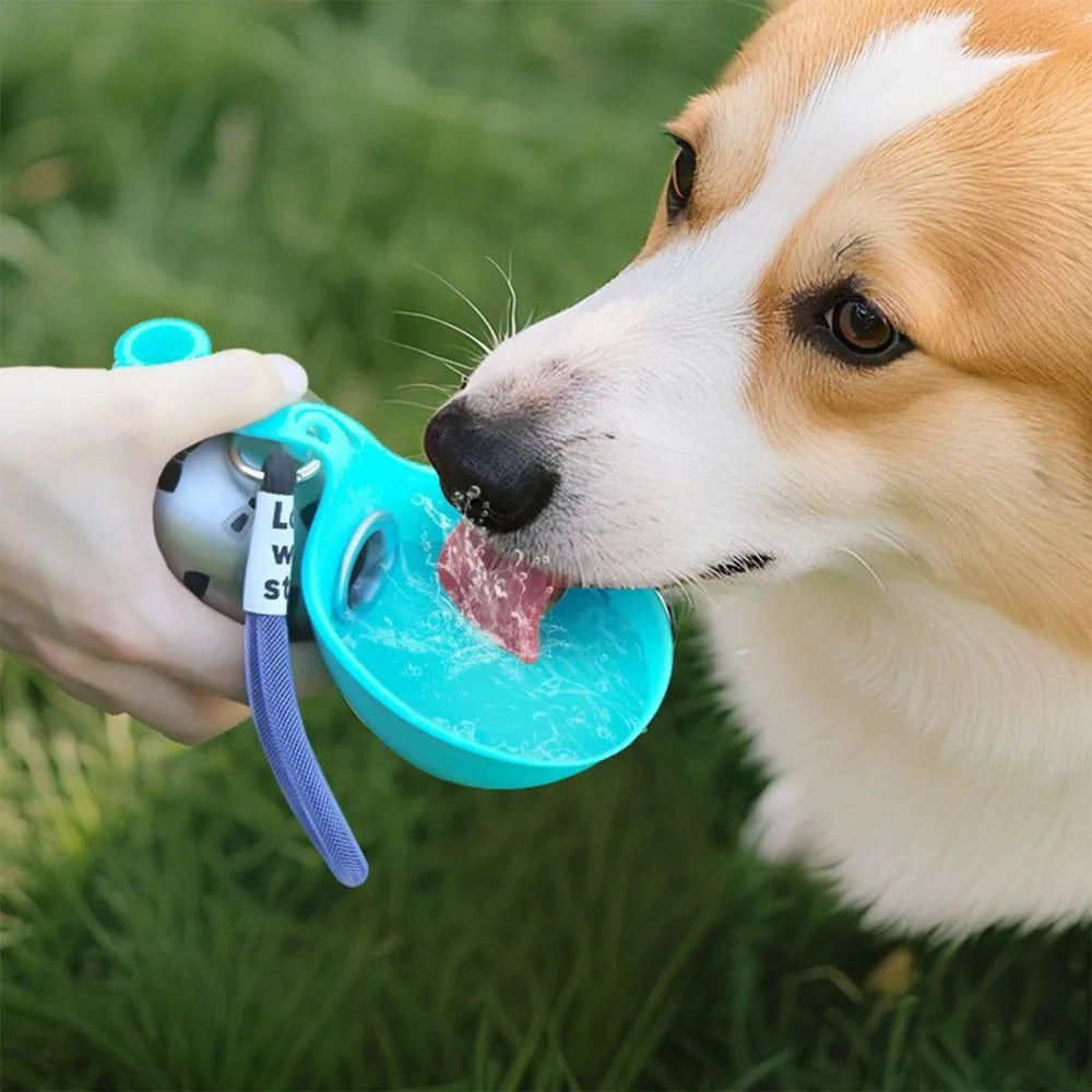 Tragbare Hundetrinkflasche mit Silikonnapf & Edelstahl | Auslaufsicher